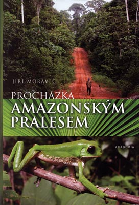 PROCHÁZKA AMAZONSKÝM PRALESEM