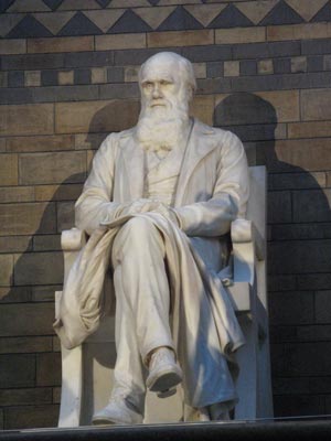 Mramorová socha Charlese Darwina v Přírodovědném muzeu v Londýně.