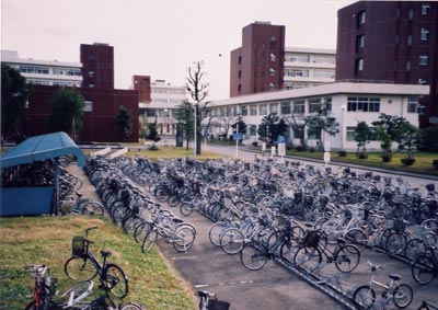 Jedno z parkovišť jízdních kol v areálu Technické fakulty