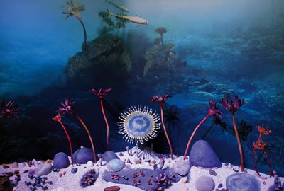 Unikátní rekonstrukce části Koněpruského útesu dokumentuje rozmanitost devonské fauny a flóry.