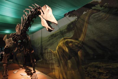 Dinosauří pořízek Amargasaurus měřil kolem deseti metrů a zhruba před 130 miliony let obýval dnešní Jižní Ameriku.